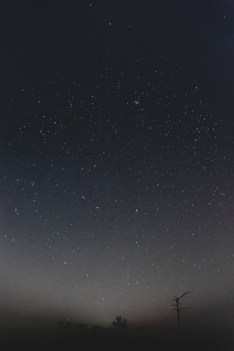 Illustration for article titled Leonid Meteors